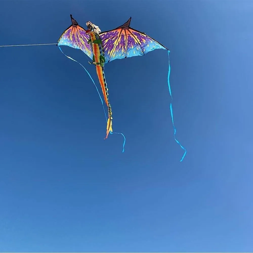 3-D Dragon Kite