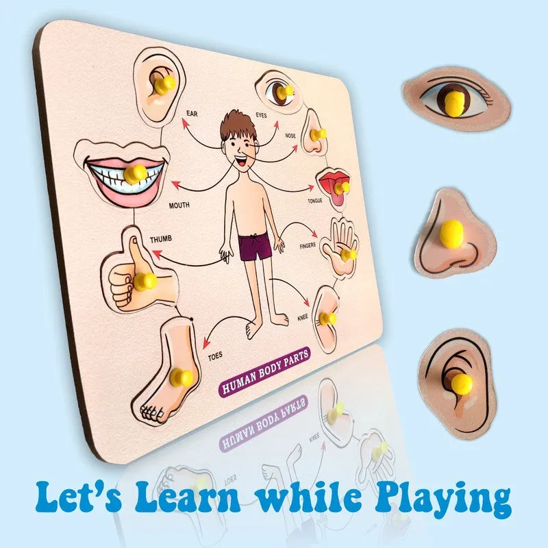 3 in 1 Wooden Number, Vegetable & Body Parts Puzzles for Kids