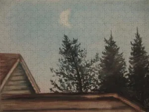 Backyarding - Puzzle