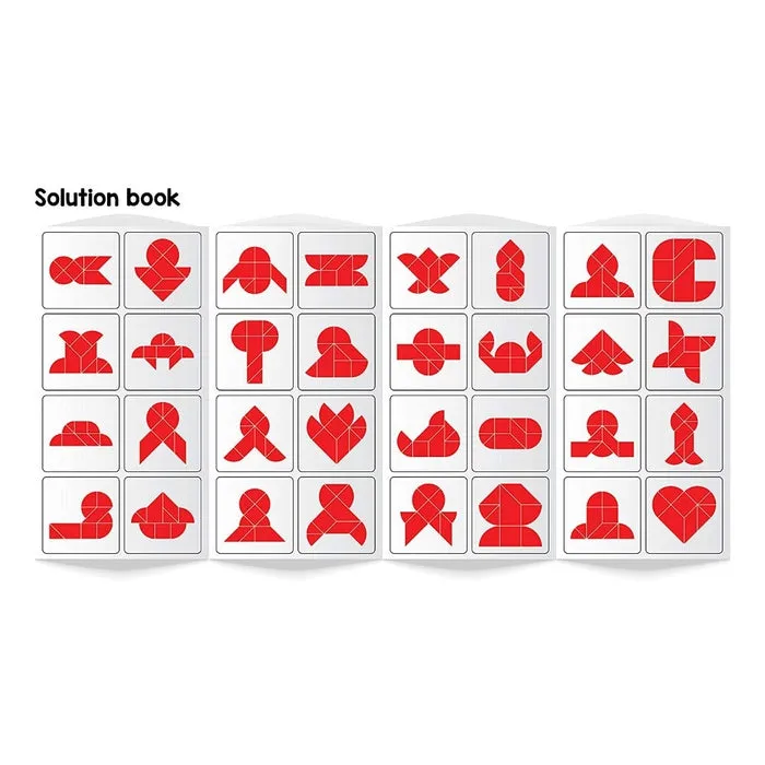 Brain Booster Type 2 (junior) - 56 puzzles designed to boost intelligence - with Magnetic Shapes, Magnetic Board, Puzzle Book and Solution Book