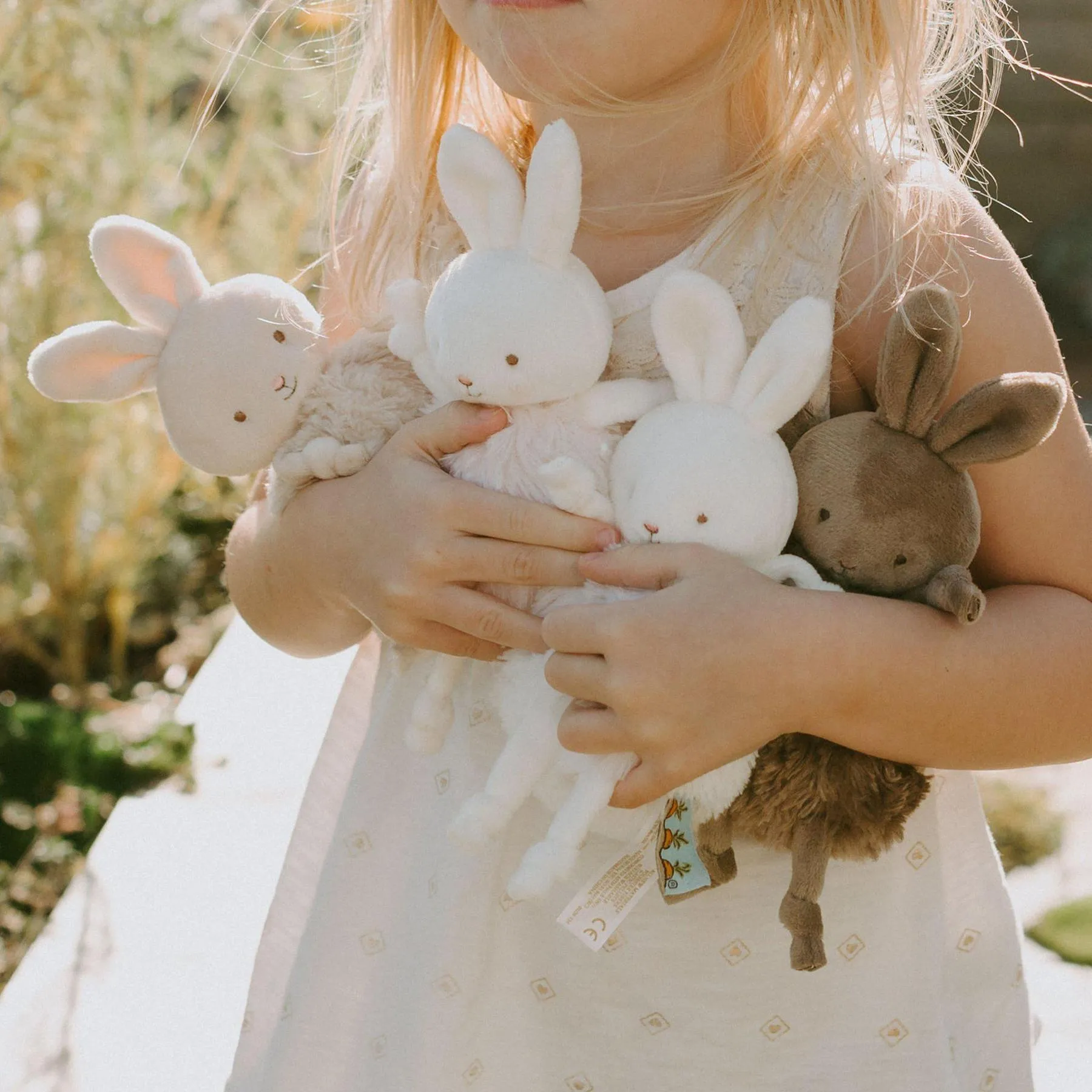 BROWNIE ROLY POLY - BUNNY 104316