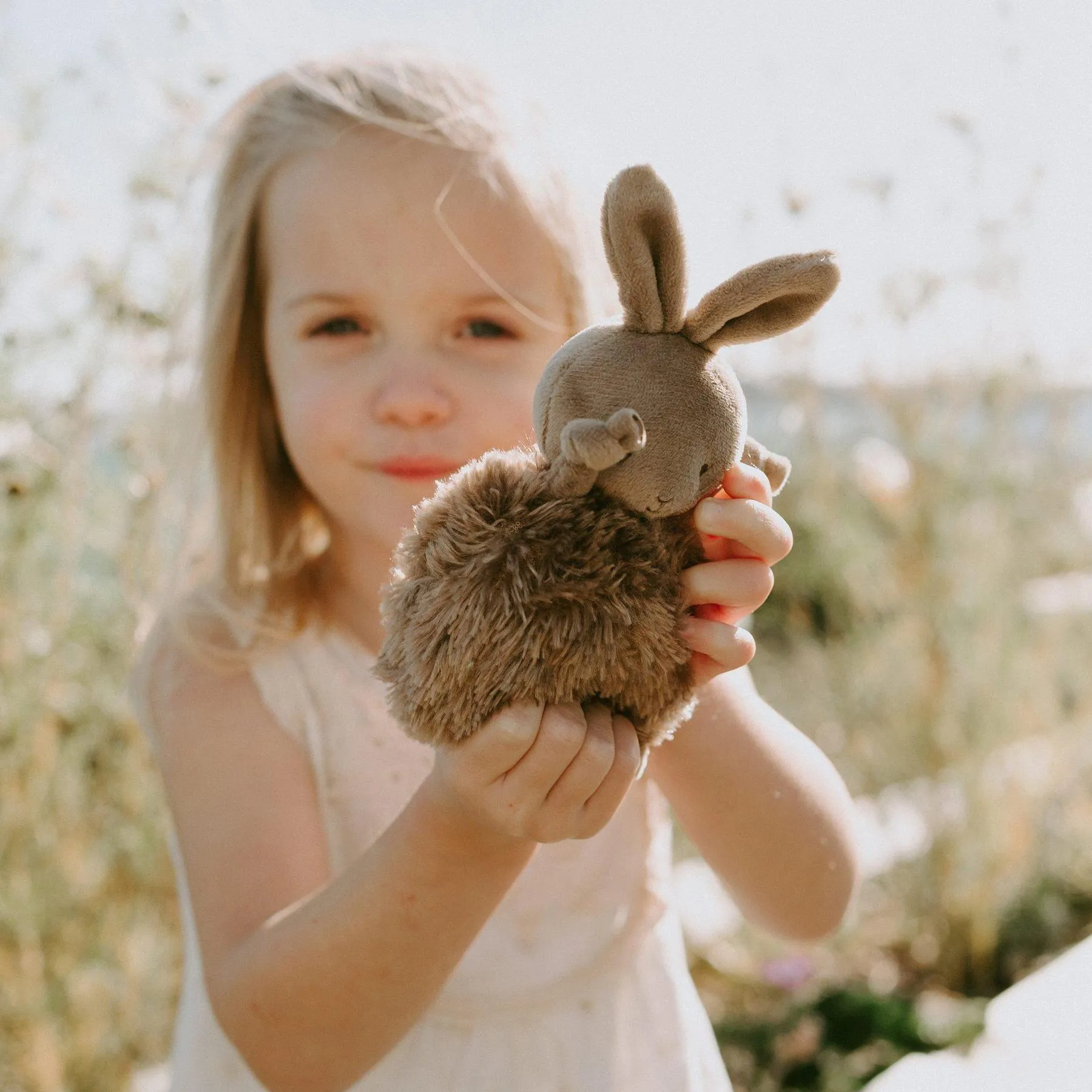 BROWNIE ROLY POLY - BUNNY 104316