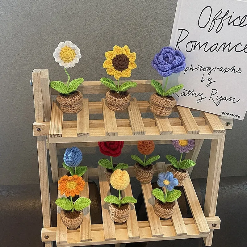 Crochet Flower Pots