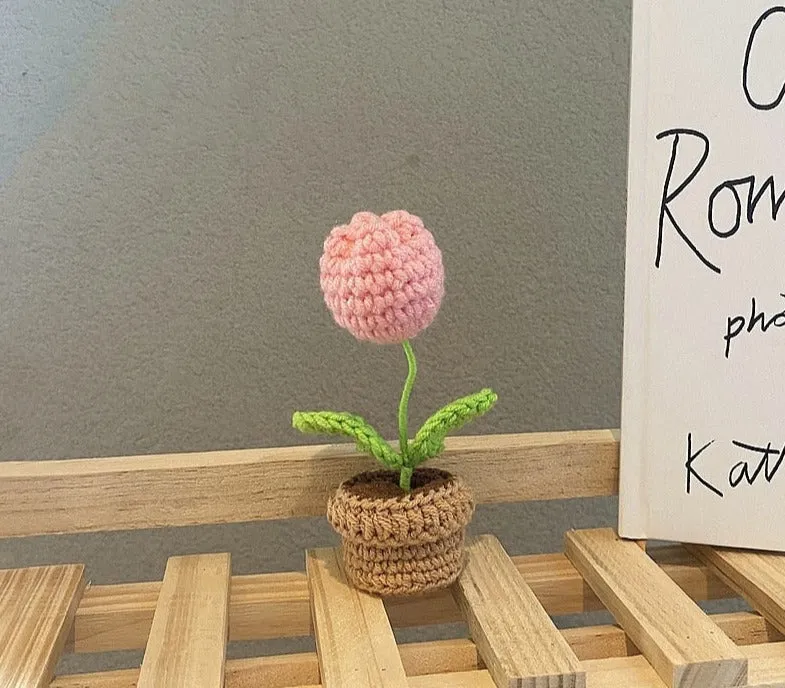 Crochet Flower Pots