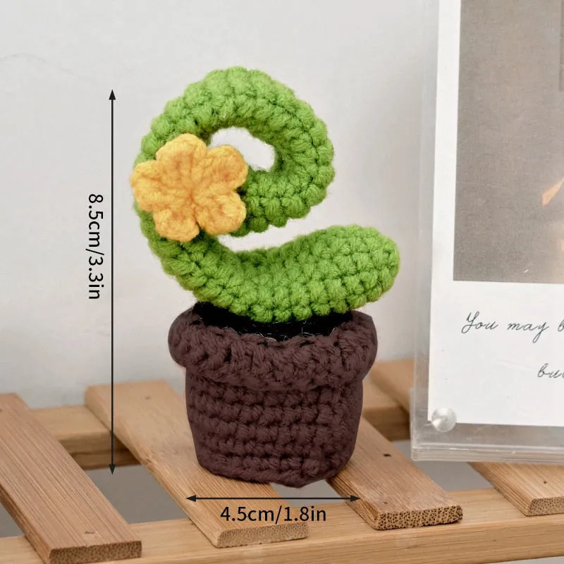 Crochet Flower Pots