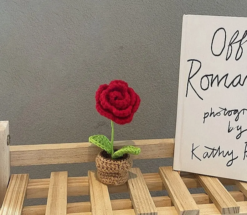 Crochet Flower Pots