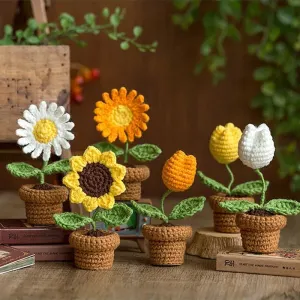 Crochet Flower Pots
