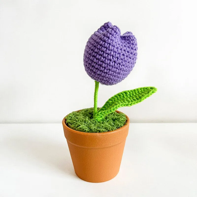 Crochet Flower Pots
