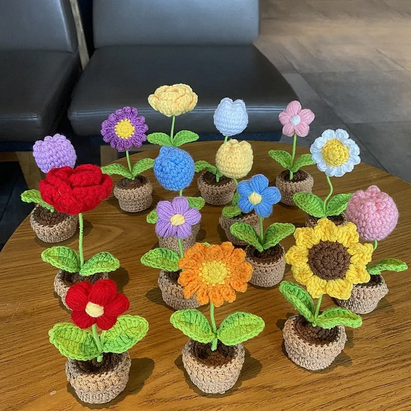 Crochet Flower Pots