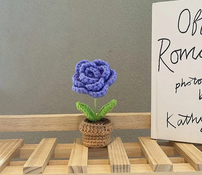 Crochet Flower Pots