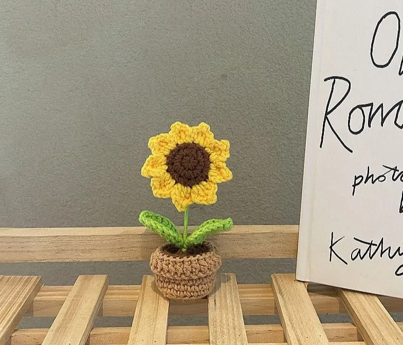 Crochet Flower Pots