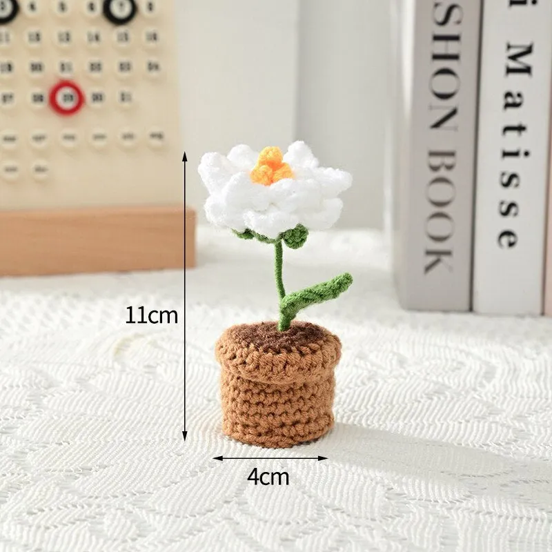 Crochet Flower Pots