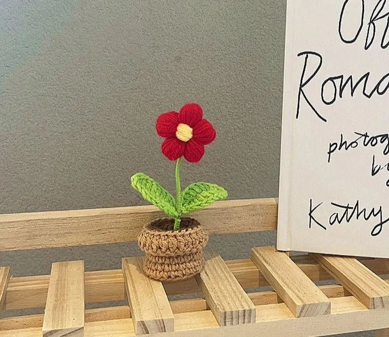 Crochet Flower Pots