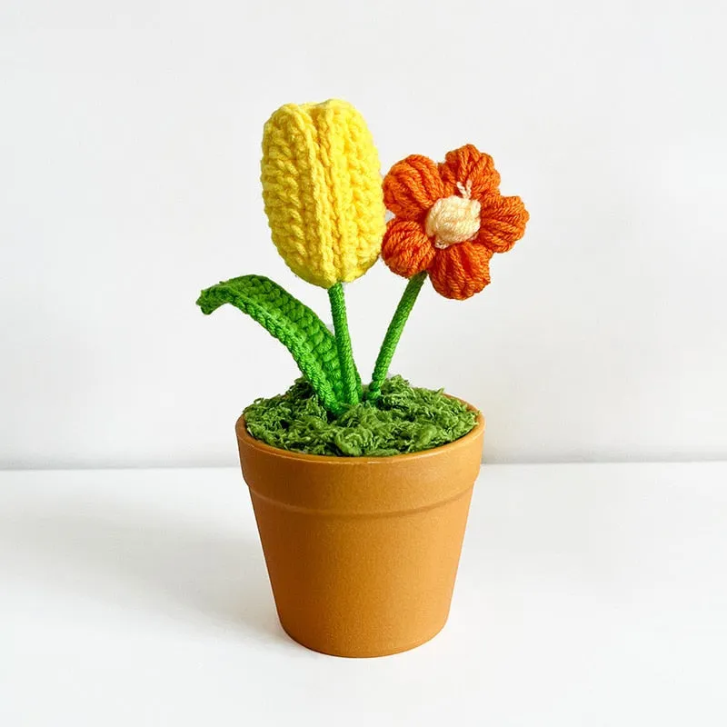 Crochet Flower Pots