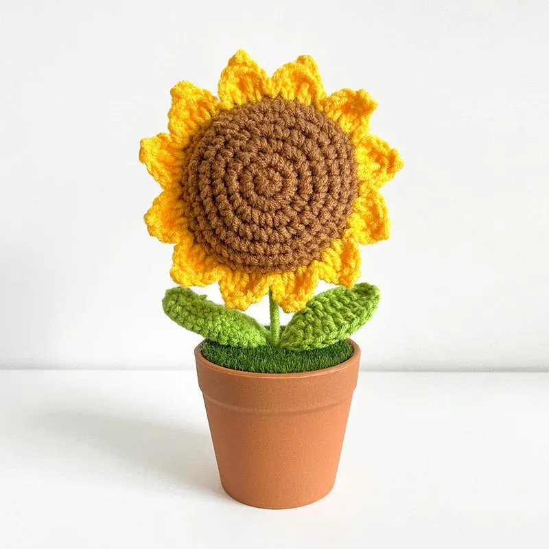 Crochet Flower Pots