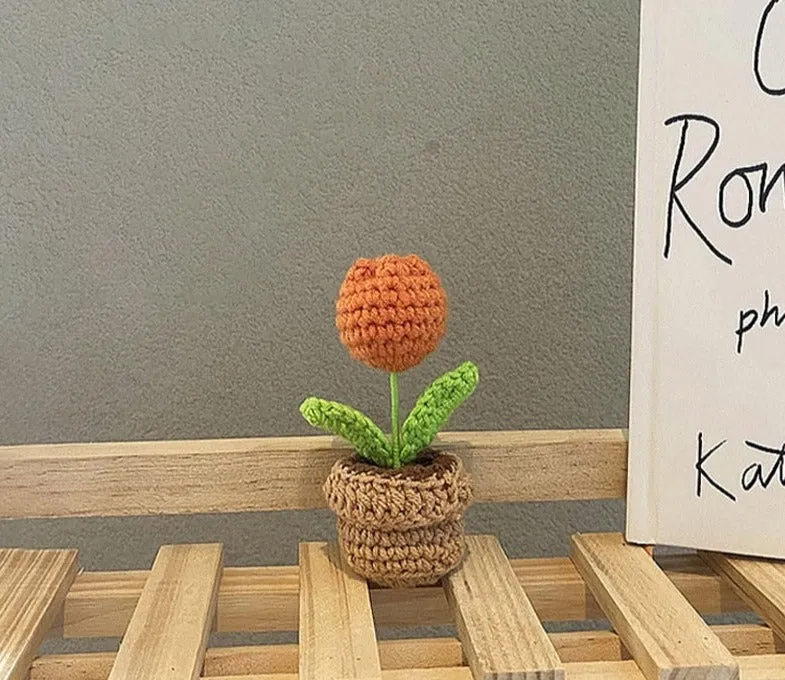 Crochet Flower Pots