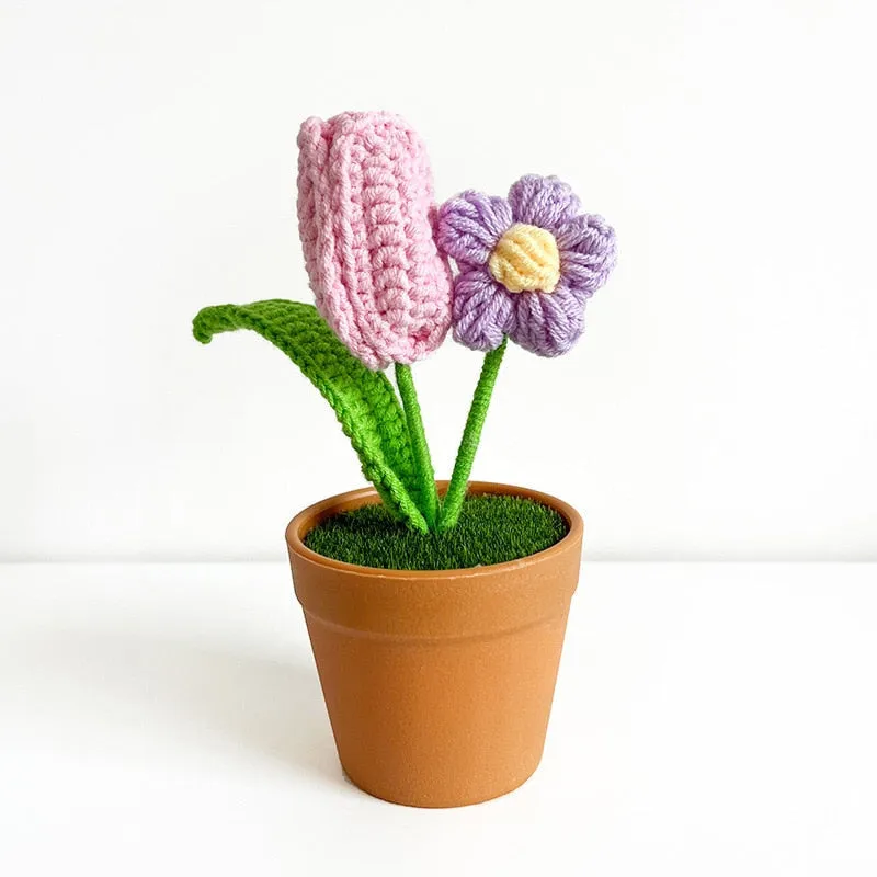 Crochet Flower Pots