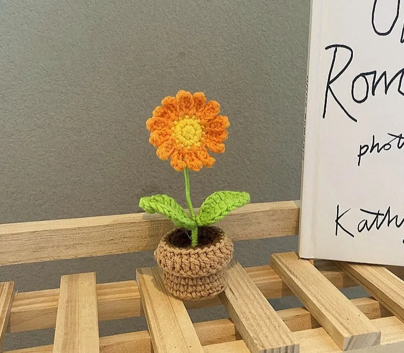 Crochet Flower Pots