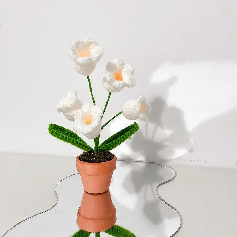 Crochet Flower Pots