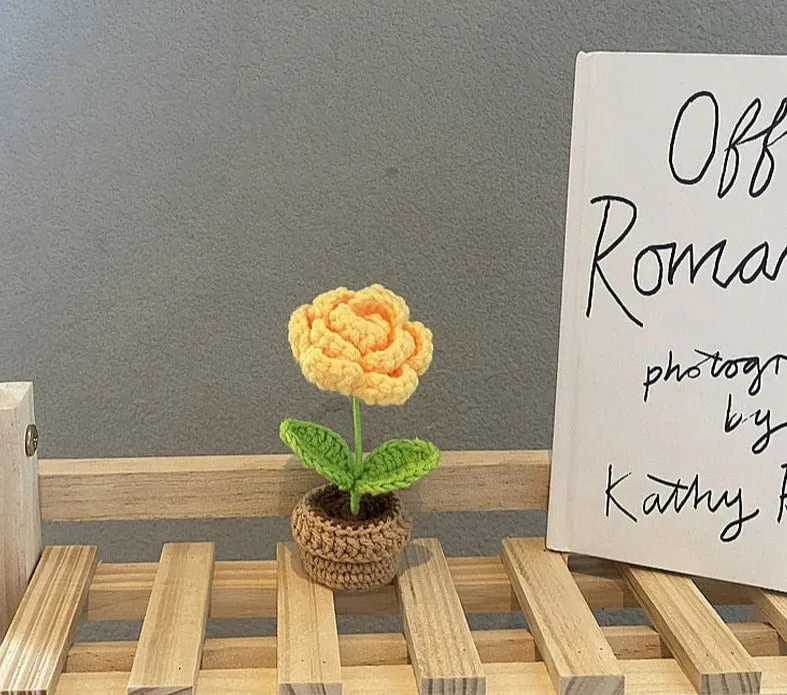 Crochet Flower Pots