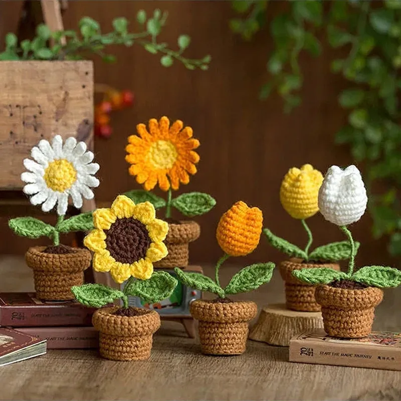Crochet Flower Pots