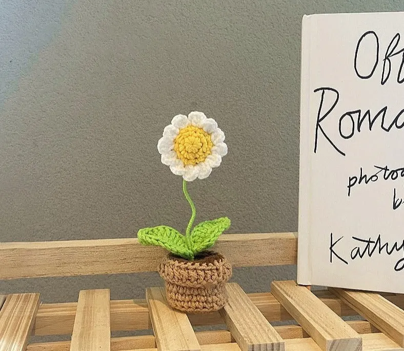 Crochet Flower Pots