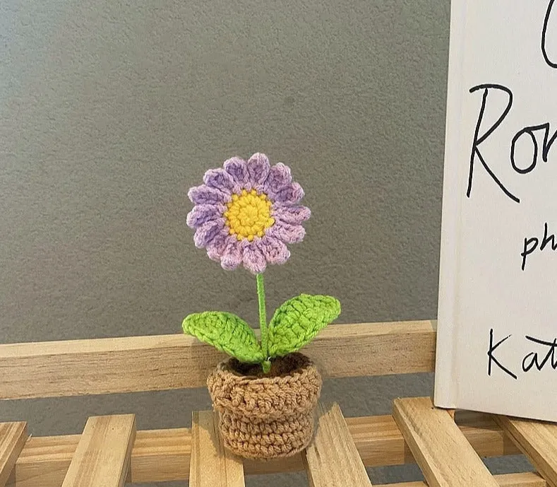 Crochet Flower Pots