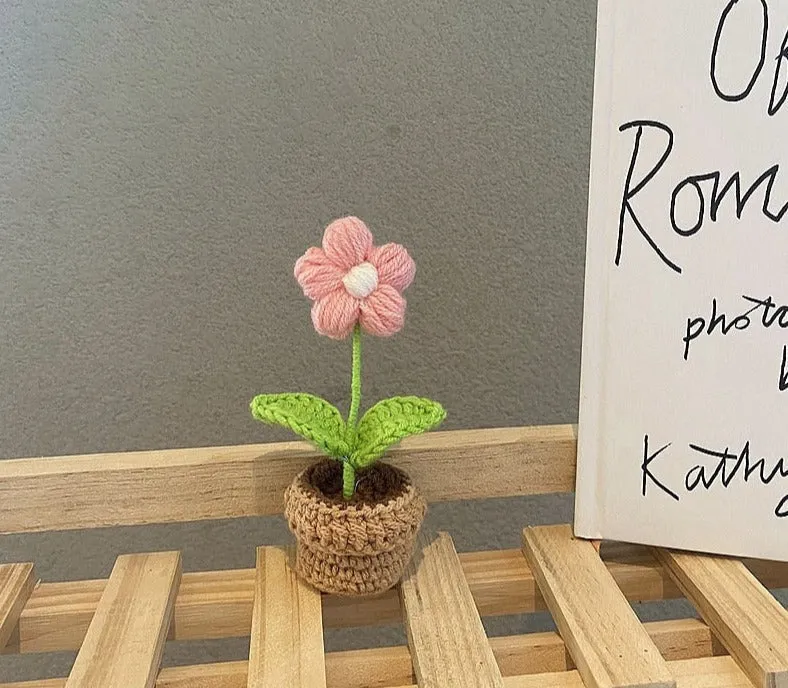 Crochet Flower Pots