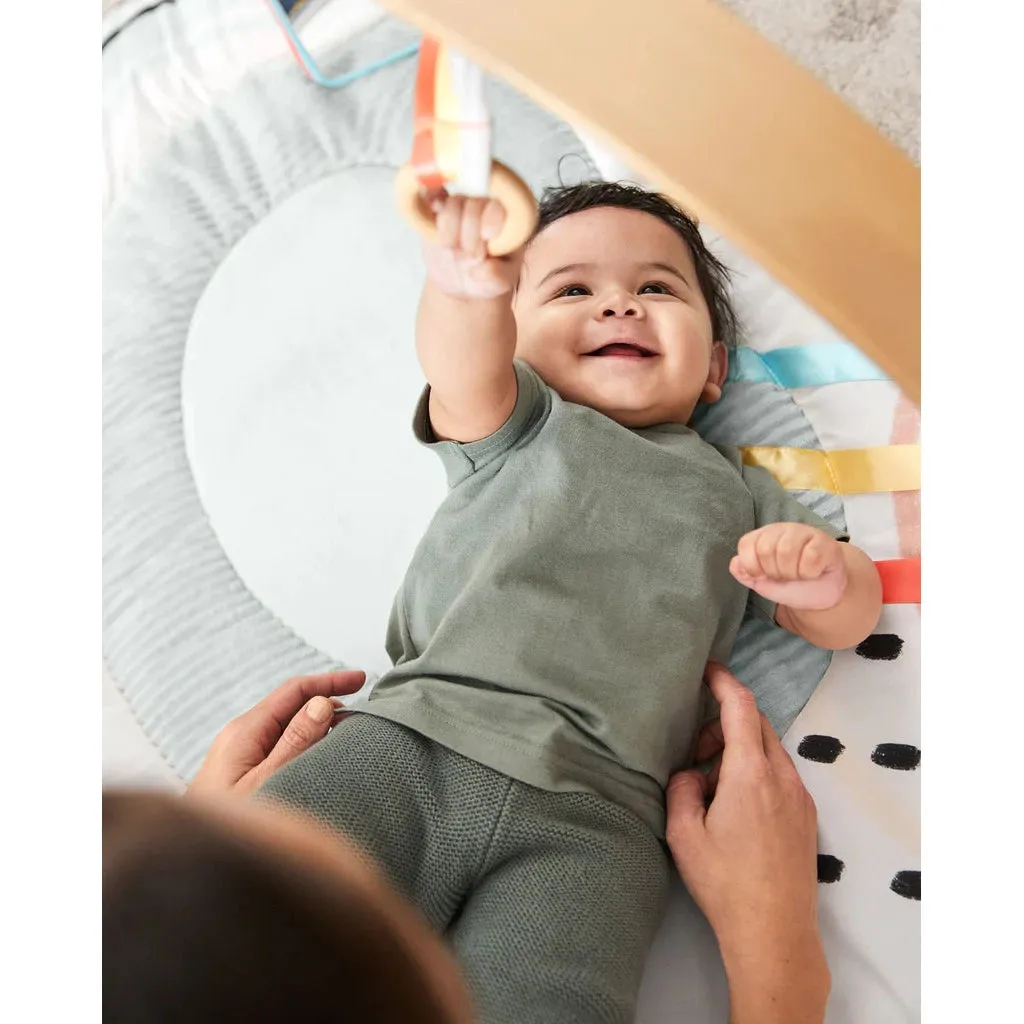 Discoverosity Deluxe Activity Gym