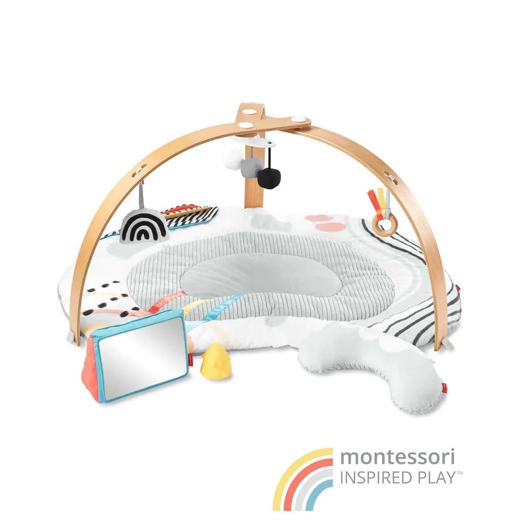 Discoverosity Deluxe Activity Gym