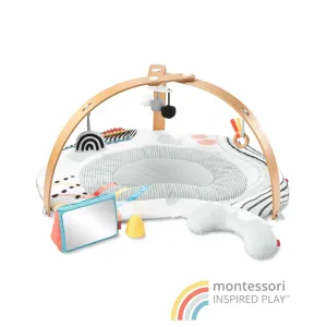 Discoverosity Deluxe Activity Gym