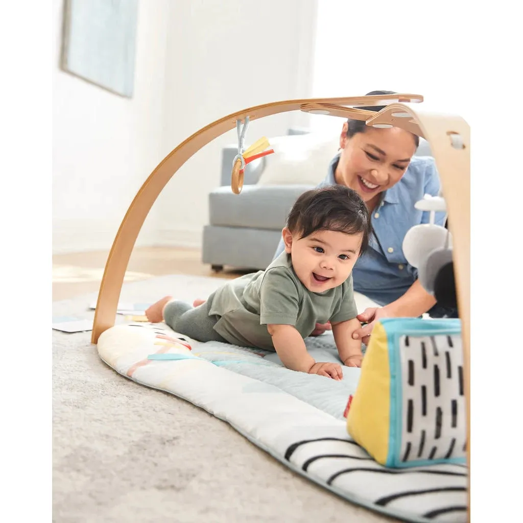 Discoverosity Deluxe Activity Gym