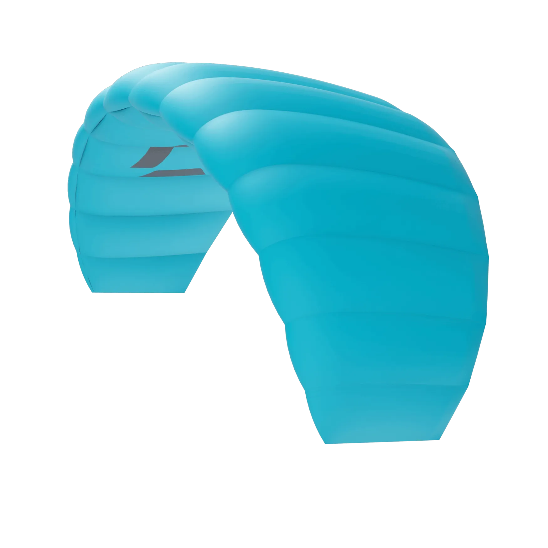 Duotone Trainer Kite Lizard