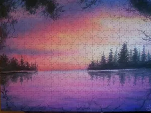 Flushed Night - Puzzle