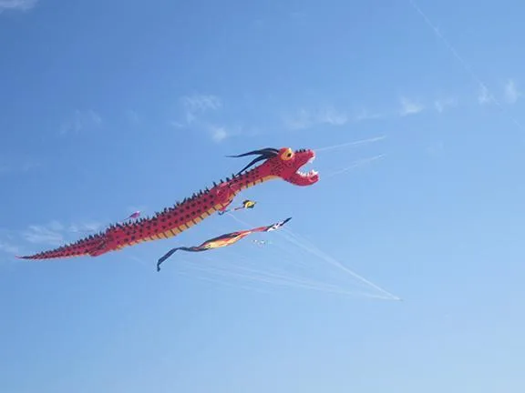 Giant Red Dragon Kite