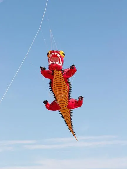 Giant Red Dragon Kite