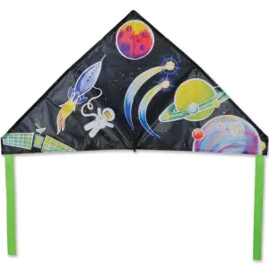 Outer Space 56” Delta Kite