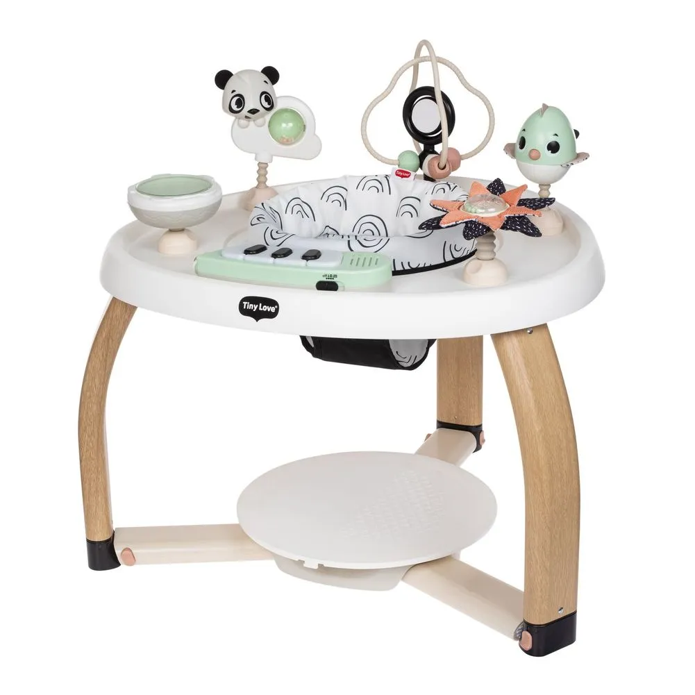 Tiny Love Developmental Activity Centre